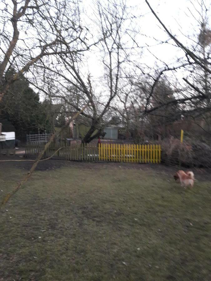 Hundefreundliches Zimmer Wustermark Exteriör bild